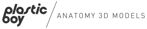 Plasticboy Anatomy 3D Anatomy Models Logo