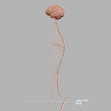 Load image into Gallery viewer, BLENDER RIGGED Complete Female Anatomy PACK V9 2025