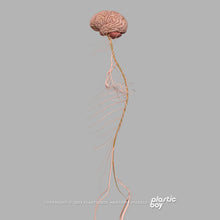 Load image into Gallery viewer, STANDARD Complete Female Anatomy PACK V9 2025