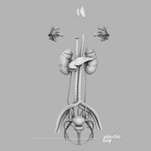 Load image into Gallery viewer, Female Urinary, Reproductive and Endocrine Systems 3D Model