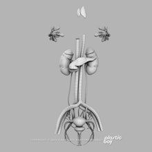 Load image into Gallery viewer, STANDARD Complete Female Anatomy PACK V9 2025