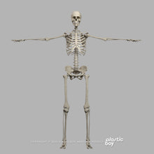 Load image into Gallery viewer, BLENDER RIGGED Complete Female Anatomy PACK V9 2025