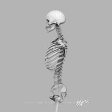 Load image into Gallery viewer, 3DS MAX RIGGED Complete Female Anatomy PACK V9