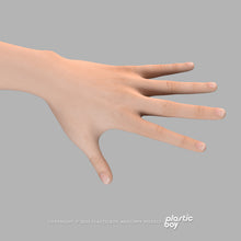 Load image into Gallery viewer, BLENDER RIGGED Complete Male and Female Anatomy PACK V9 2025