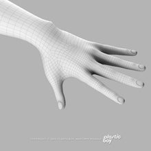 Load image into Gallery viewer, MAYA RIGGED Complete Female Anatomy PACK V9 2025