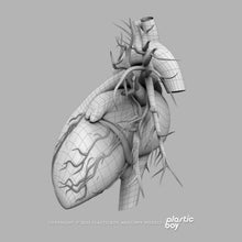 Load image into Gallery viewer, BLENDER RIGGED Complete Male Anatomy PACK V9 2025