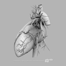 Load image into Gallery viewer, BLENDER RIGGED Complete Male and Female Anatomy PACK V9 2025