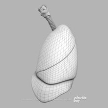 Load image into Gallery viewer, Male Respiratory System 3D Model
