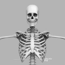 Load image into Gallery viewer, BLENDER RIGGED Complete Male Anatomy PACK V9 2025