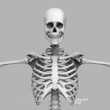 Load image into Gallery viewer, 3DS MAX RIGGED Complete Male Anatomy PACK V9