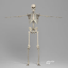 Load image into Gallery viewer, 3DS MAX RIGGED Complete Male and Female Anatomy PACK V9 2025