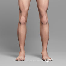 Load image into Gallery viewer, Male Integumentary (Skin) System 3D Model