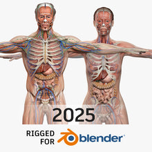 Load image into Gallery viewer, BLENDER RIGGED Complete Male and Female Anatomy PACK V9 2025