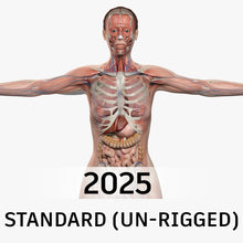 Load image into Gallery viewer, STANDARD Complete Female Anatomy PACK V9 2025