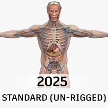 Load image into Gallery viewer, STANDARD Complete Male Anatomy PACK V9 2025