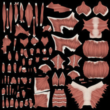 Load image into Gallery viewer, BLENDER RIGGED Complete Female Anatomy PACK V9 2025