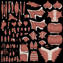 Load image into Gallery viewer, 3DS MAX RIGGED Complete Male and Female Anatomy PACK V9 2025