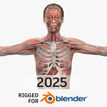 Load image into Gallery viewer, BLENDER RIGGED Complete Female Anatomy PACK V9 2025
