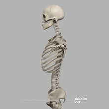 Load image into Gallery viewer, CINEMA 4D RIGGED Complete Male and Female Anatomy PACK V9
