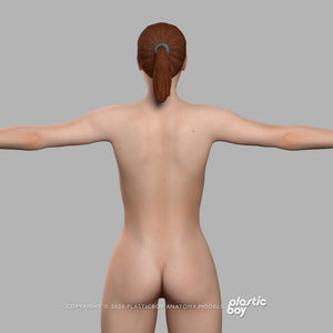 BLENDER RIGGED Complete Female Anatomy PACK V9