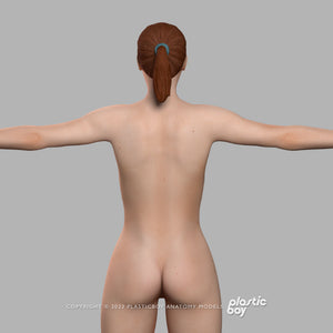 3DS MAX RIGGED Complete Female Anatomy PACK V9