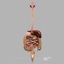 Load image into Gallery viewer, Male Digestive System 3D Model
