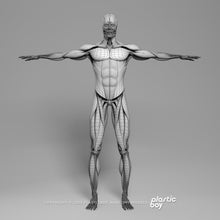 Load image into Gallery viewer, 3DS MAX RIGGED Complete Male Anatomy PACK V9

