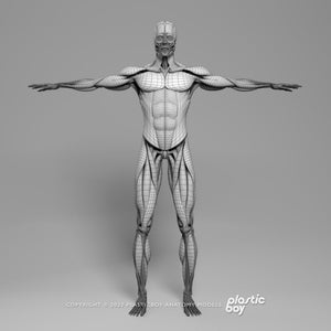 MAYA RIGGED Complete Male and Female Anatomy PACK V9