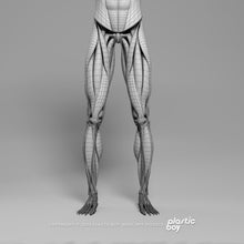 Load image into Gallery viewer, 3DS MAX RIGGED Complete Male Anatomy PACK V9
