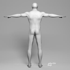 3DS MAX RIGGED Complete Male Anatomy PACK V9