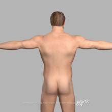 Load image into Gallery viewer, Male Integumentary (Skin) System 3D Model
