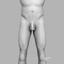 Load image into Gallery viewer, Male Integumentary (Skin) System 3D Model
