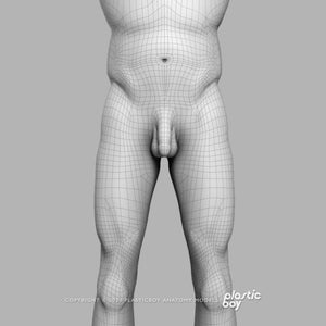 3DS MAX RIGGED Complete Male and Female Anatomy PACK V9