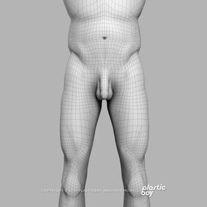 BLENDER RIGGED Complete Male and Female Anatomy PACK V9 2025