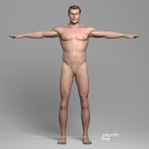 STANDARD Complete Male Anatomy PACK V9 2025