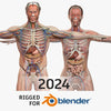 BLENDER RIGGED Complete Male and Female Anatomy PACK V9