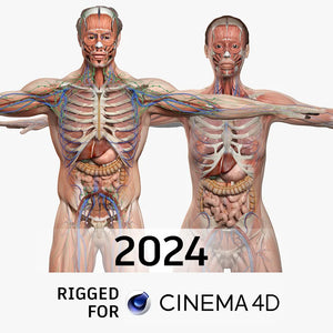 CINEMA 4D RIGGED Complete Male and Female Anatomy PACK V9