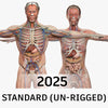 STANDARD Complete Male and Female Anatomy PACK V9 2025